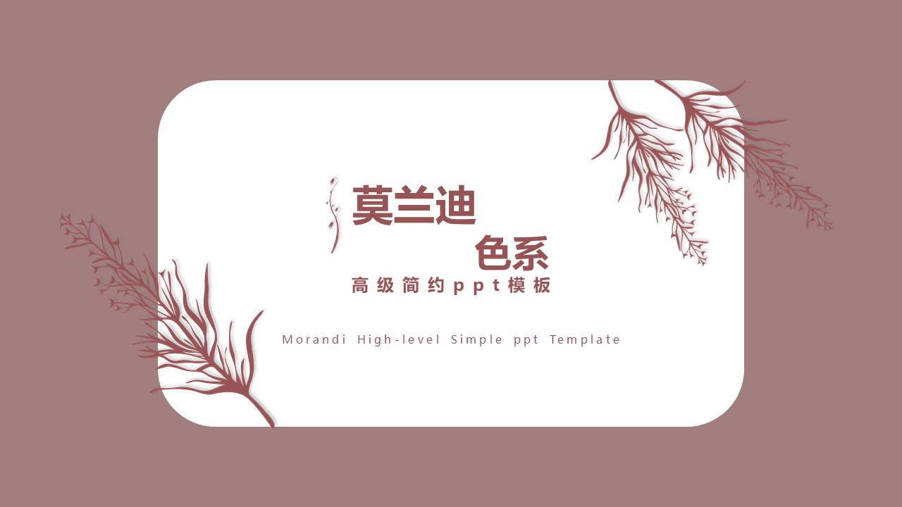 莫兰迪 (16).pptx